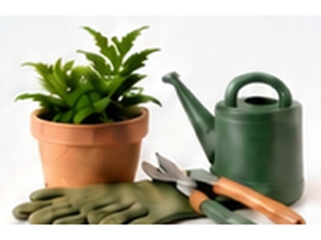Garden & Outdoor Living product photography
